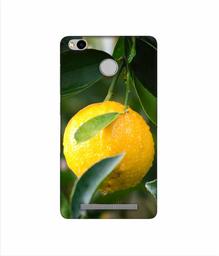 Amazon Brand - Solimo Designer Lemon 3D Printed Hard Back Case Mobile Cover for Xiaomi Redmi 3S Prime