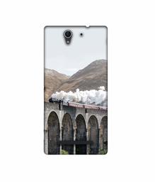 Amazon Brand - Solimo Designer Steam Train 3D Printed Hard Back Case Mobile Cover for Sony Xperia C3 Dual