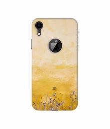 Amazon Brand - Solimo Designer Dry Flower On Wall 3D Printed Hard Back Case Mobile Cover for Apple iPhone XR (Logo Cut)