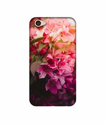 Amazon Brand - Solimo Designer Blossom Weather UV Printed Soft Back Case Mobile Cover for Vivo V5 Plus