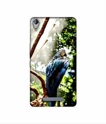 Amazon Brand - Solimo Designer Macaw Parrot 3D Printed Hard Back Case Mobile Cover for Micromax Canvas Juice 3Plus Q394