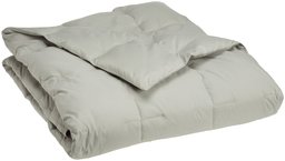 Pike Street Down Comforter, Twin, Sage