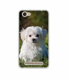 Amazon Brand - Solimo Designer White Dog UV Printed Soft Back Case Mobile Cover for Lava A77