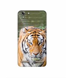 Amazon Brand - Solimo Designer Tiger in Water 3D Printed Hard Back Case Mobile Cover for Lenovo Vibe K5 Plus