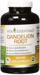 Vita Essentials Dandelion Root Capsules, 520 Mg, 250 Count