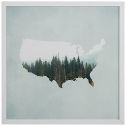 Amazon Brand – Rivet American Forest Map Wall Art Print in White Wood Frame, 20