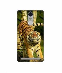 Amazon Brand - Solimo Designer Tiger 3D Printed Hard Back Case Mobile Cover for Lenovo K5 Note