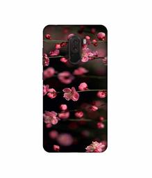 Amazon Brand - Solimo Designer Pink Flowers 3D Printed Hard Back Case Mobile Cover for Poco F1