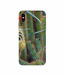 Amazon Brand - Solimo Designer Cactus 3D Printed Hard Back Case Mobile Cover for Apple iPhone Xs Max