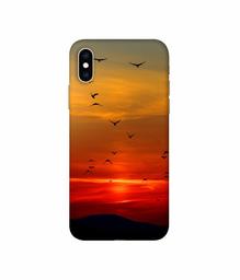 Amazon Brand - Solimo Designer Group Birds 3D Printed Hard Back Case Mobile Cover for Apple iPhone Xs Max