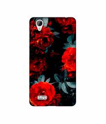 Amazon Brand - Solimo Designer Rose Photography UV Printed Soft Back Case Mobile Cover for Vivo Y31