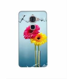 Amazon Brand - Solimo Designer Sun Flower 3D Printed Hard Back Case Mobile Cover for LeTV Le 2