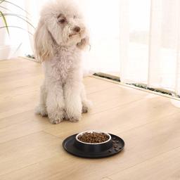 AmazonBasics Round Silicone Mat and Pet Bowl - Small