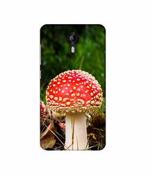 Amazon Brand - Solimo Designer Red Mushroom 3D Printed Hard Back Case Mobile Cover for Micromax Canvas Nitro 4G E455