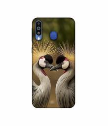 Amazon Brand - Solimo Designer Birds 3D Printed Hard Back Case Mobile Cover for Samsung Galaxy M21