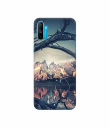 Amazon Brand - Solimo Designer Tree Reflextion 3D Printed Hard Back Case Mobile Cover for Realme C3