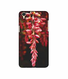 Amazon Brand - Solimo Designer Flowers Photograpy 3D Printed Hard Back Case Mobile Cover for Oppo F1 Plus