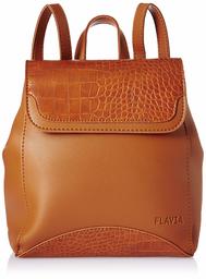 Flavia Women's Handbag (Brown)