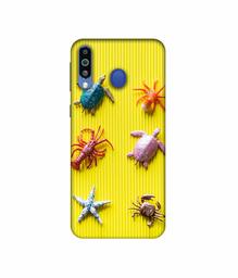 Amazon Brand - Solimo Designer Sea Animals 3D Printed Hard Back Case Mobile Cover for Samsung Galaxy M21