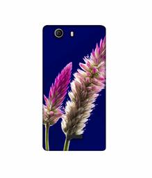 Amazon Brand - Solimo Designer Wheat Flower 3D Printed Hard Back Case Mobile Cover for Micromax Canvas Nitro 2 E311