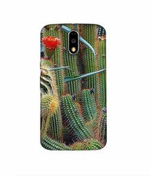 Amazon Brand - Solimo Designer Cactus 3D Printed Hard Back Case Mobile Cover for Motorola Moto G4 Plus