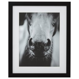 Amazon Brand – Stone & Beam Modern Black and White Horse Nose Photo Framed Wall Art Decor - 18