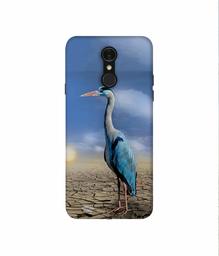 Amazon Brand - Solimo Designer Bagula 3D Printed Hard Back Case Mobile Cover for LG Q7