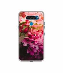 Amazon Brand - Solimo Designer Blossom Weather UV Printed Soft Back Case Mobile Cover for LG Q60