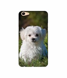 Amazon Brand - Solimo Designer White Dog 3D Printed Hard Back Case Mobile Cover for Oppo F3