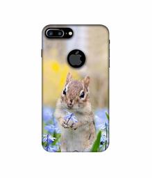 Amazon Brand - Solimo Designer Squirrel 3D Printed Hard Back Case Mobile Cover for Apple iPhone 7 Plus (Logo Cut)