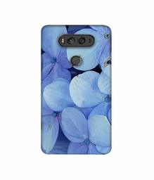 Amazon Brand - Solimo Designer Light Blue Flower Photography 3D Printed Hard Back Case Mobile Cover for LG V20