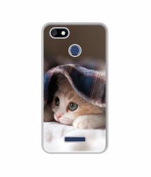 Amazon Brand - Solimo Designer Sleepy Kitten UV Printed Soft Back Case Mobile Cover for Panasonic Eluga A4