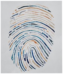 Amazon Brand – Rivet Multi-Color Canvas Fingerprint, 17