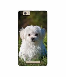 Amazon Brand - Solimo Designer White Dog UV Printed Soft Back Case Mobile Cover for Lava A97