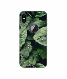 Amazon Brand - Solimo Designer Leafs 3D Printed Hard Back Case Mobile Cover for Apple iPhone Xs Max (Logo Cut)