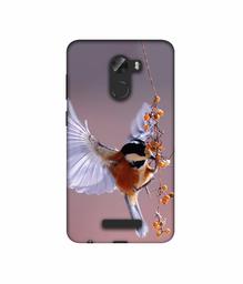 Amazon Brand - Solimo Designer Bird 3D Printed Hard Back Case Mobile Cover for Gionee A1 Lite