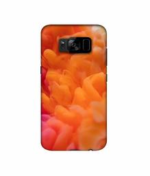 Amazon Brand - Solimo Designer Color Smoke 3D Printed Hard Back Case Mobile Cover for Samsung Galaxy S8 Plus