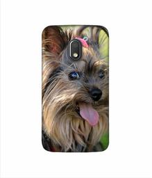 Amazon Brand - Solimo Designer Hairy Puppy 3D Printed Hard Back Case Mobile Cover for Motorola Moto G4 Play