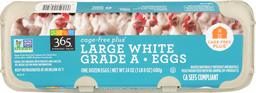 365 EVERYDAY VALUE White Large Grade A Eggs, 12 CT