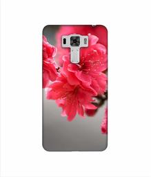 Amazon Brand - Solimo Designer Blossom Like Flower 3D Printed Hard Back Case Mobile Cover for Asus Zenfone 3 Laser ZC551KL