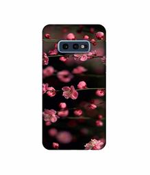 Amazon Brand - Solimo Designer Pink Flowers 3D Printed Hard Back Case Mobile Cover for Samsung Galaxy S10e