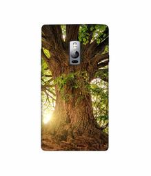 Amazon Brand - Solimo Designer Tree Trunk 3D Printed Hard Back Case Mobile Cover for OnePlus 2