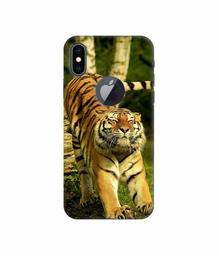 Amazon Brand - Solimo Designer Tiger 3D Printed Hard Back Case Mobile Cover for Apple iPhone Xs Max (Logo Cut)