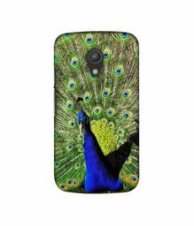 Amazon Brand - Solimo Designer Peacock 3D Printed Hard Back Case Mobile Cover for Motorola Moto G 2nd Generation