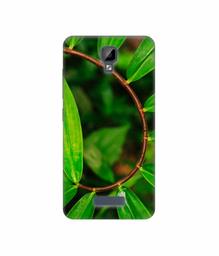 Amazon Brand - Solimo Designer Leaf Photography 3D Printed Hard Back Case Mobile Cover for Gionee P7 Max