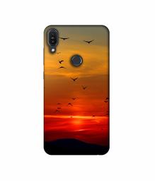 Amazon Brand - Solimo Designer Group Birds 3D Printed Hard Back Case Mobile Cover for Asus Zenfone Max Pro M1 ZB601KL