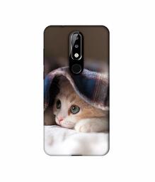 Amazon Brand - Solimo Designer Sleepy Kitten 3D Printed Hard Back Case Mobile Cover for Nokia 5.1 Plus