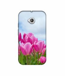 Amazon Brand - Solimo Designer Pink Lily 3D Printed Hard Back Case Mobile Cover for Motorola Moto E 2nd Generation