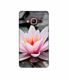 Amazon Brand - Solimo Designer Lotus 3D Printed Hard Back Case Mobile Cover for Samsung Z2