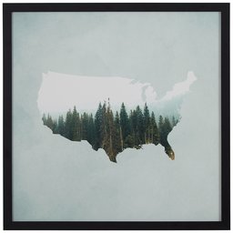 Amazon Brand – Rivet American Forest Map Wall Art Print in Black Wood Frame, 20